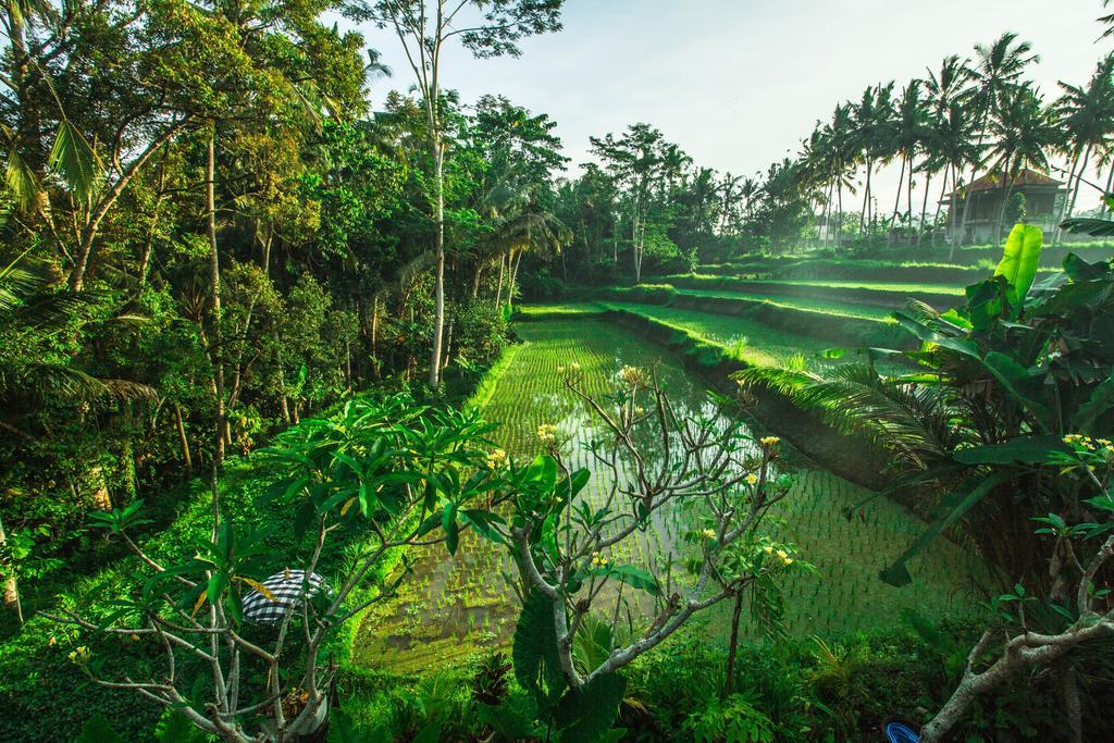 Alam Sembuwuk Ubud Hotel Ngoại thất bức ảnh